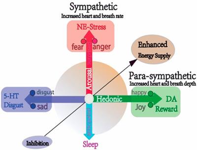 Editorial: Natural products and brain energy metabolism: Astrocytes in neurodegenerative diseases Volume II